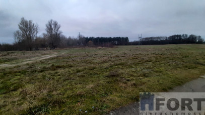 Działka Sprzedaż Stepnica