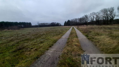 Działka Sprzedaż Stepnica