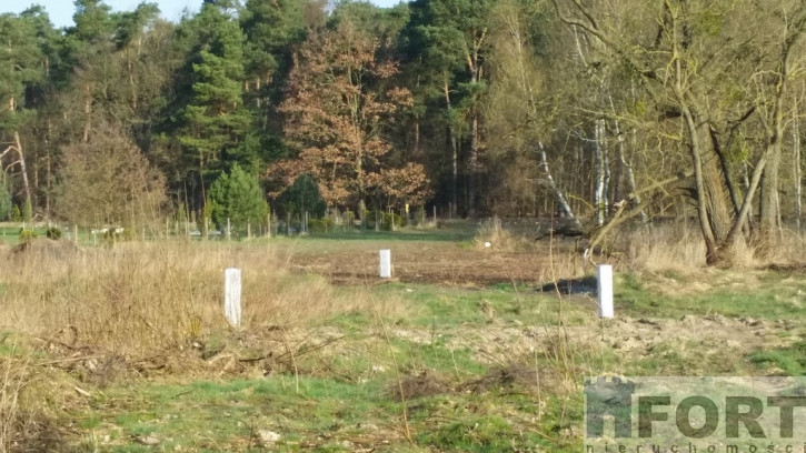 Działka Sprzedaż Kościno 9