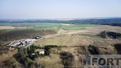 Działka Sprzedaż Czepino