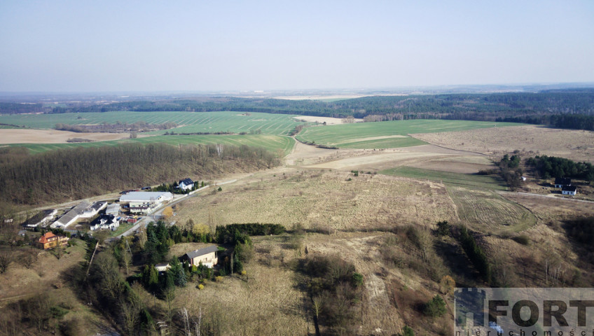 Działka Sprzedaż Czepino