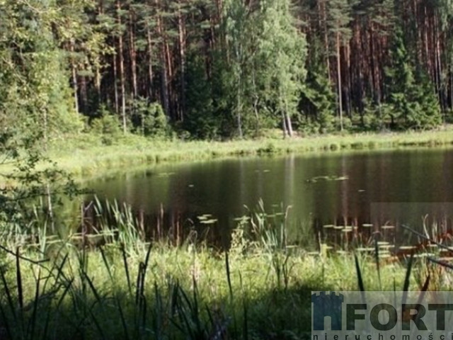 Żabinek działka z linią brzegową nad jez. Busko