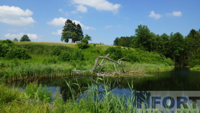 Działka Sprzedaż Bobolice