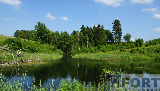 Działka Sprzedaż Bobolice 17