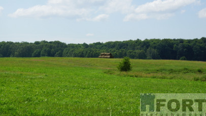 Działka Sprzedaż Bobolice