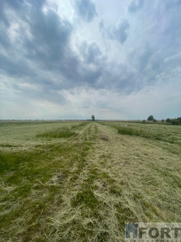 Działka Sprzedaż Wierzbno