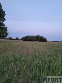 Działka Sprzedaż Lubczyna