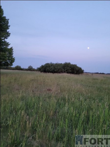 Działka Sprzedaż Lubczyna 4