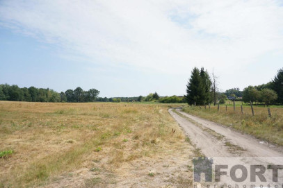 Działka Sprzedaż Przybiernów