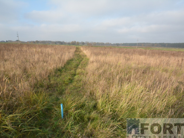 Wołczkowo działka na sprzedaż z warunkami  3003m2