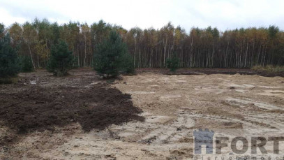 Działka Sprzedaż Borzyszewo