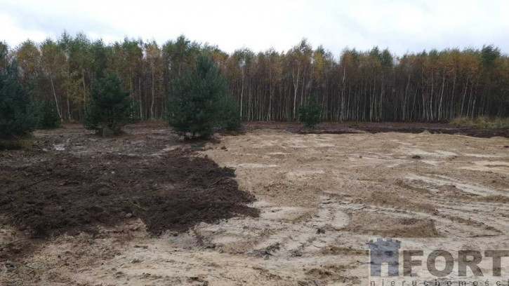 Działka Sprzedaż Borzyszewo 1