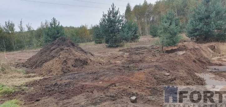 Działka Sprzedaż Borzyszewo 10