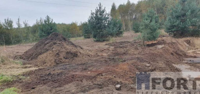 Działka Sprzedaż Borzyszewo