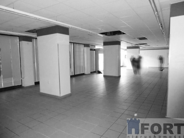 Lokal Wynajem Szczecin Centrum 1