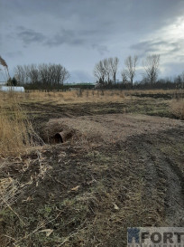 Działka Sprzedaż Pyrzyce