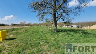 Działka Sprzedaż Szczecin Skolwin