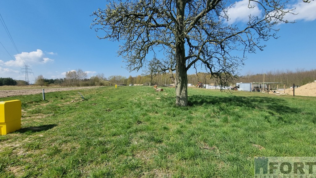 Działka Sprzedaż Szczecin Skolwin