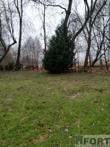 Działka Sprzedaż Rzędziny 3