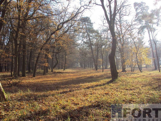 Działka Sprzedaż Rzędziny 7