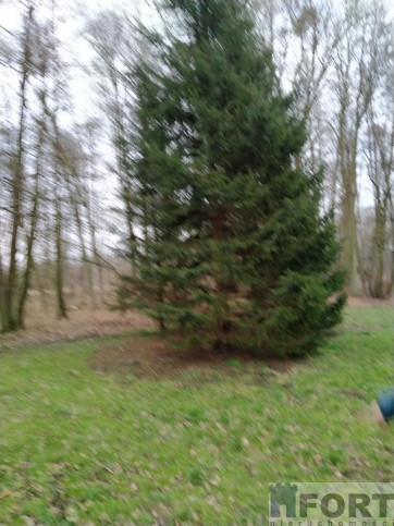 Działka Sprzedaż Rzędziny 12