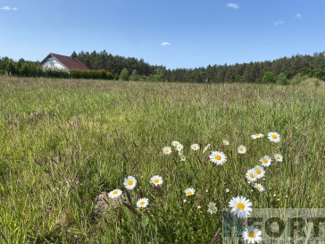 Działka Sprzedaż Przybiernów