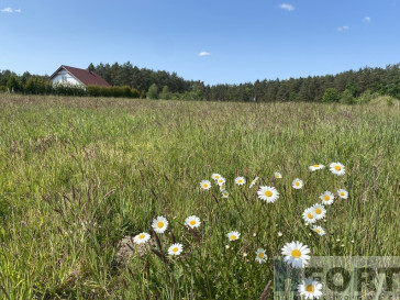 Działka Sprzedaż Przybiernów