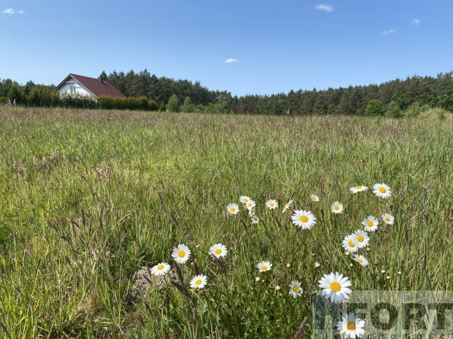 Działka Sprzedaż Przybiernów 2
