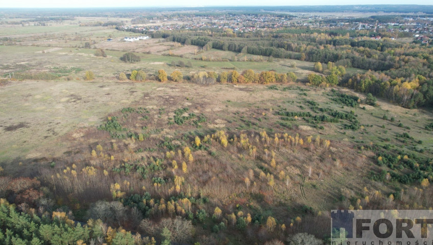 Działka Sprzedaż Buk