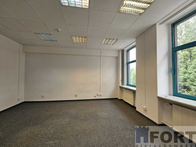 Lokal Wynajem Szczecin Centrum 15