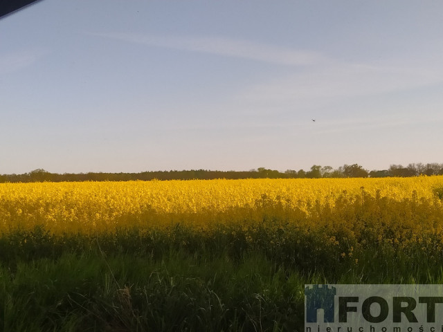 Bielkowo działka w drugiej linii zabudowy