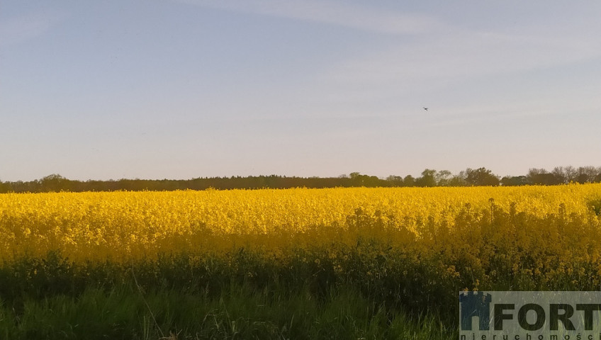 Działka Sprzedaż Bielkowo Zbożowa