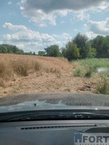Działka Sprzedaż Stara Dąbrowa 9
