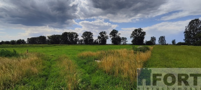 Działka Sprzedaż Rurzyca