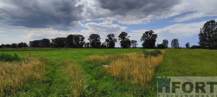 Działka Sprzedaż Rurzyca 2