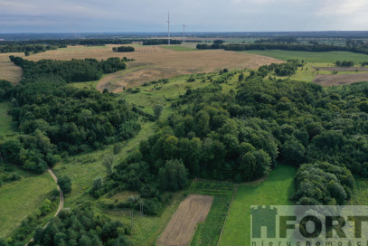 Działka Sprzedaż Prusinowo