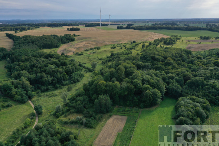 Działka Sprzedaż Prusinowo 2
