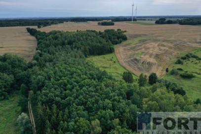 Działka Sprzedaż Prusinowo