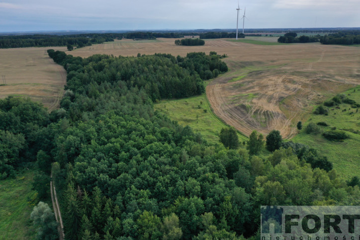 Działka Sprzedaż Prusinowo 1
