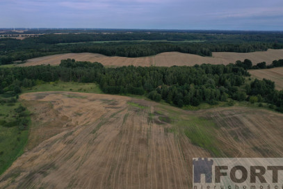 Działka Sprzedaż Prusinowo