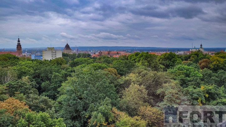 Mieszkanie Sprzedaż Szczecin Centrum Jana Matejki 4