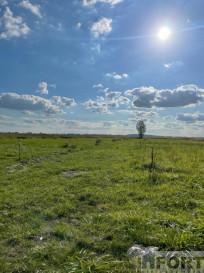 Działka Sprzedaż Wierzbno