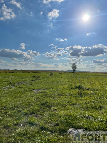 Działka Sprzedaż Wierzbno 1