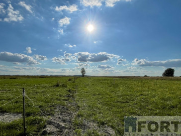 Działka Sprzedaż Wierzbno