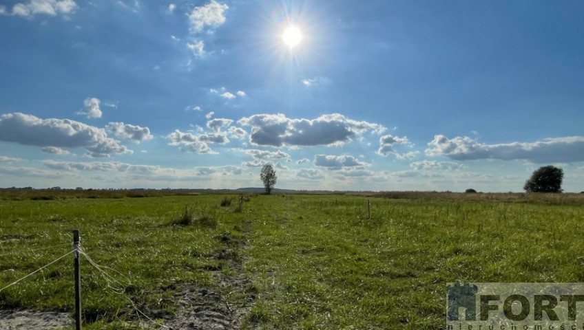 Działka Sprzedaż Wierzbno