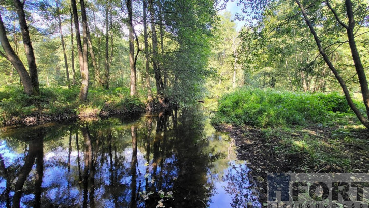 Działka Sprzedaż Staw 3