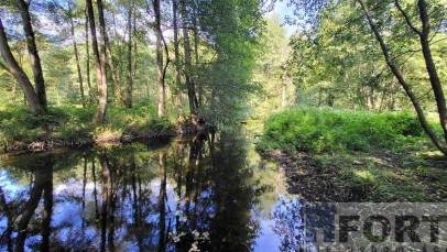Działka Sprzedaż Staw
