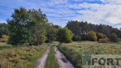 Działka Sprzedaż Warnowo