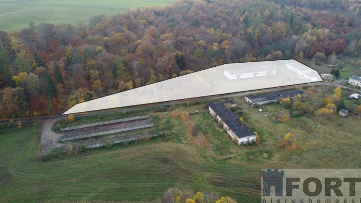 Magazyn Sprzedaż Dziwogóra 3