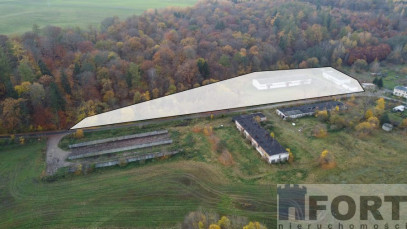 Magazyn Sprzedaż Dziwogóra